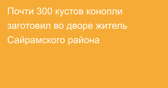 Почти 300 кустов конопли заготовил во дворе житель Сайрамского района