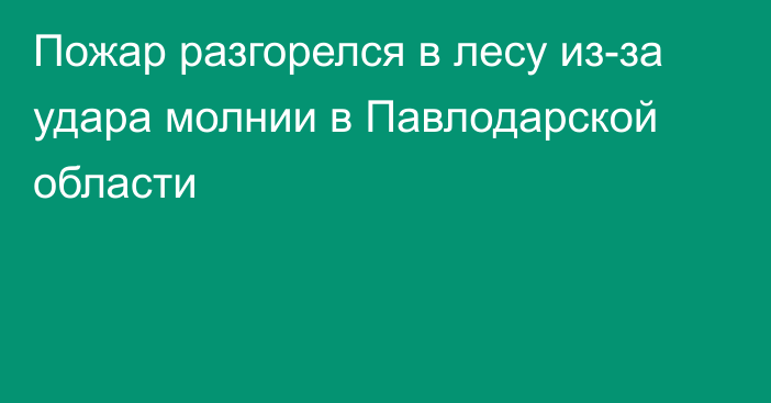 Пожар разгорелся в лесу из-за удара молнии в Павлодарской области