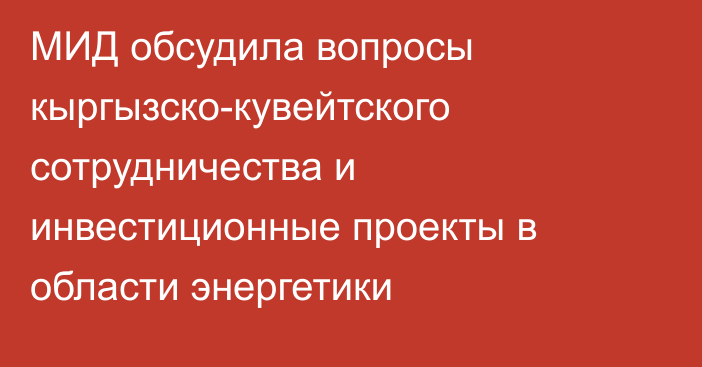 МИД обсудила вопросы кыргызско-кувейтского сотрудничества и инвестиционные проекты в области энергетики