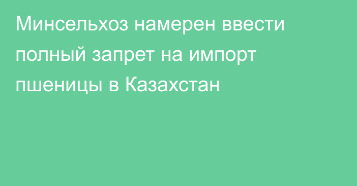 Минсельхоз намерен ввести полный запрет на импорт пшеницы в Казахстан