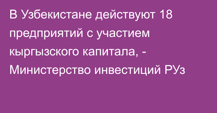 В Узбекистане действуют 18 предприятий с участием кыргызского капитала, - Министерство инвестиций РУз