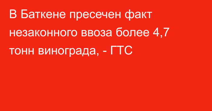 В Баткене пресечен факт незаконного ввоза более 4,7 тонн винограда, - ГТС