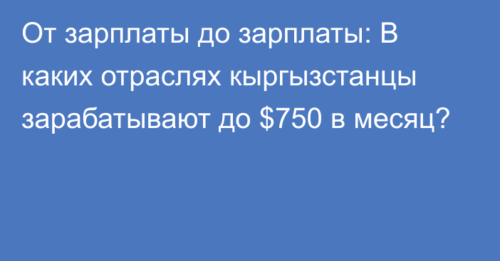 От зарплаты до зарплаты: В каких отраслях кыргызстанцы зарабатывают до $750 в месяц?