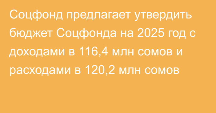 Соцфонд предлагает утвердить бюджет Соцфонда на 2025 год с доходами в 116,4 млн сомов и расходами в 120,2 млн сомов