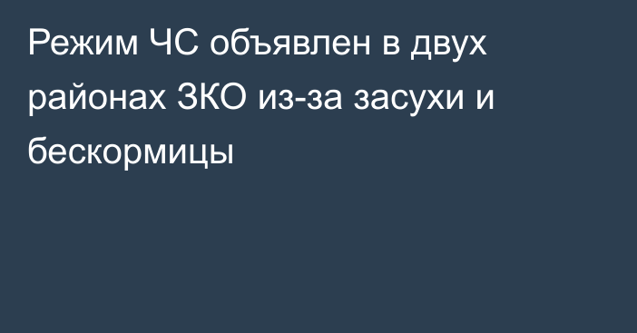 Режим ЧС объявлен в двух районах ЗКО из-за засухи и бескормицы