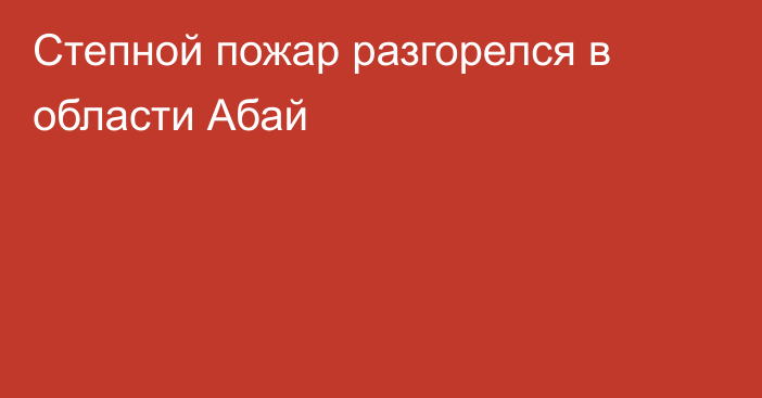 Степной пожар разгорелся в области Абай