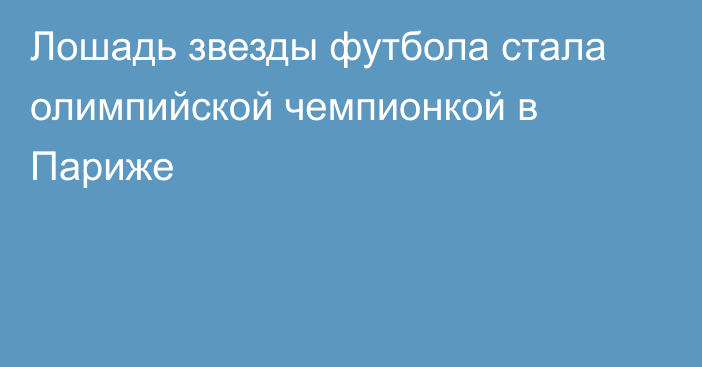 Лошадь звезды футбола стала олимпийской чемпионкой в Париже