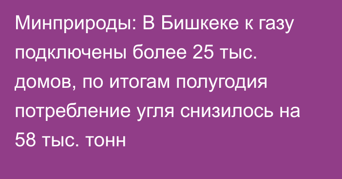 Минприроды: В Бишкеке к газу подключены более 25 тыс. домов, по итогам полугодия потребление угля снизилось на 58 тыс. тонн