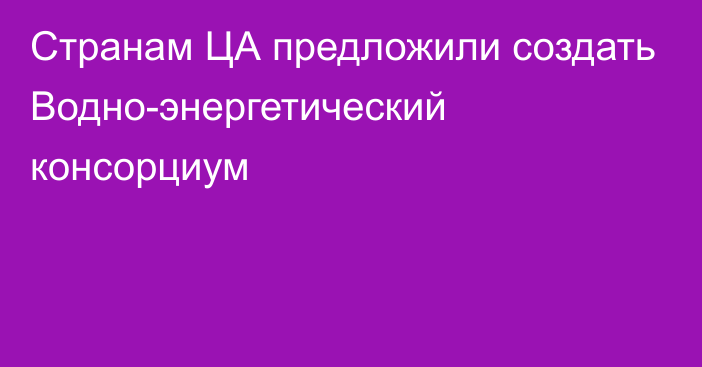 Странам ЦА предложили создать Водно-энергетический консорциум