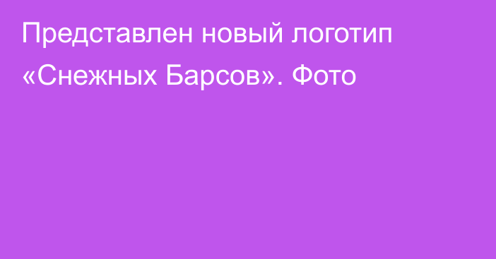 Представлен новый логотип «Снежных Барсов». Фото