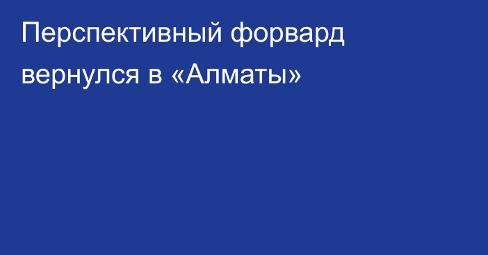 Перспективный форвард вернулся в «Алматы»