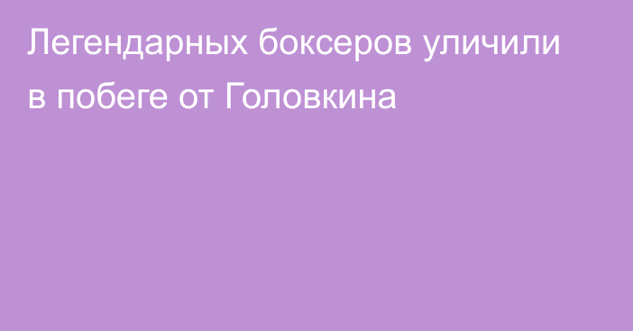 Легендарных боксеров уличили в побеге от Головкина