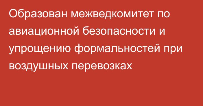 Образован межведкомитет по авиационной безопасности и упрощению формальностей при воздушных перевозках