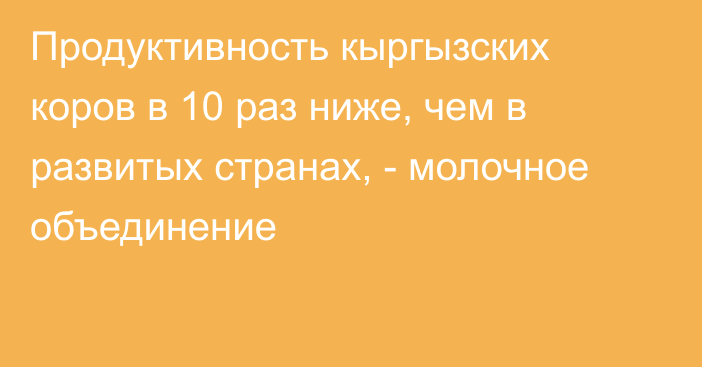 Продуктивность кыргызских коров в 10 раз ниже, чем в развитых странах, - молочное объединение