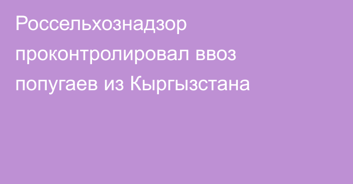 Россельхознадзор проконтролировал ввоз попугаев из Кыргызстана