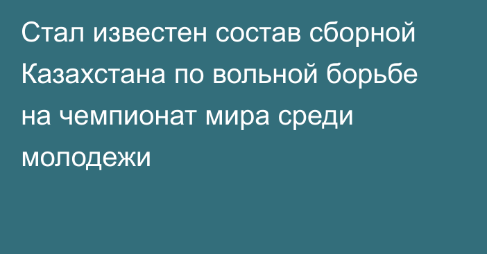 Стал известен состав сборной Казахстана по вольной борьбе на чемпионат мира среди молодежи