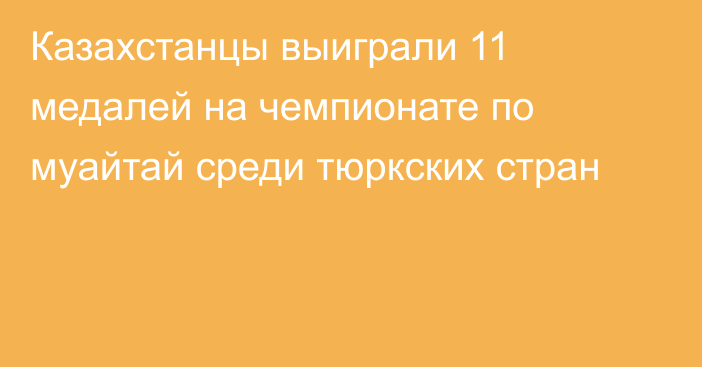 Казахстанцы выиграли 11 медалей на чемпионате по муайтай среди тюркских стран