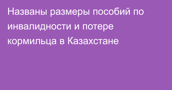 Названы размеры пособий по инвалидности и потере кормильца в Казахстане