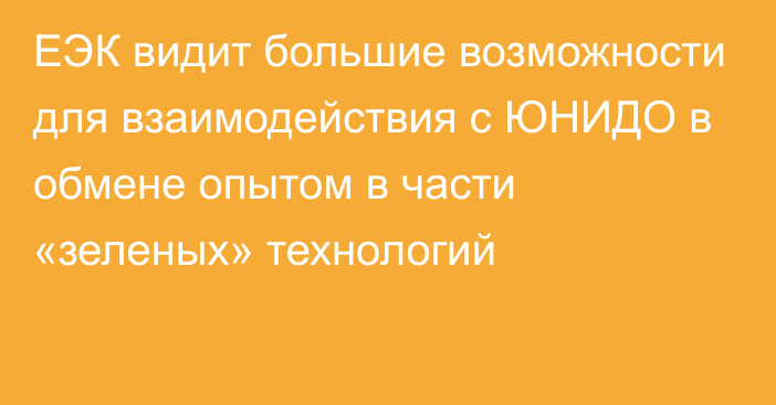 ЕЭК видит большие возможности для взаимодействия с ЮНИДО в обмене опытом в части «зеленых» технологий