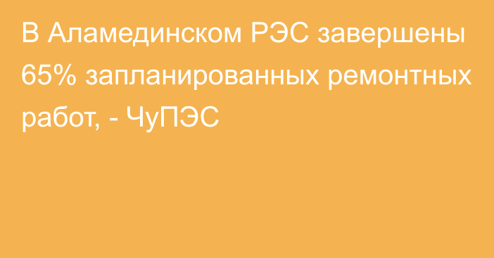 В Аламединском РЭС завершены 65% запланированных ремонтных работ, - ЧуПЭС