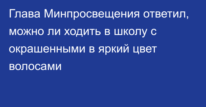 Глава Минпросвещения ответил, можно ли ходить в школу с окрашенными в яркий цвет волосами