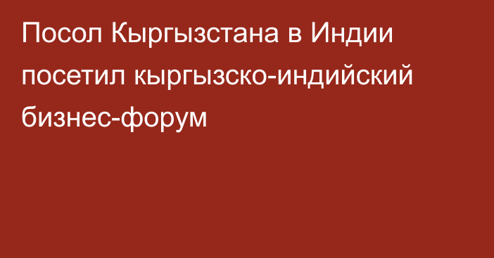 Посол Кыргызстана в Индии посетил кыргызско-индийский бизнес-форум