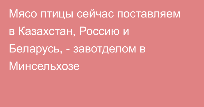 Мясо птицы сейчас поставляем в Казахстан, Россию и Беларусь, - завотделом в Минсельхозе