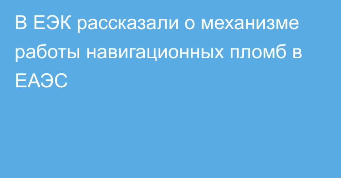 В ЕЭК рассказали о механизме работы навигационных пломб в ЕАЭС