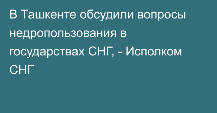 В Ташкенте обсудили вопросы недропользования в государствах СНГ, - Исполком СНГ