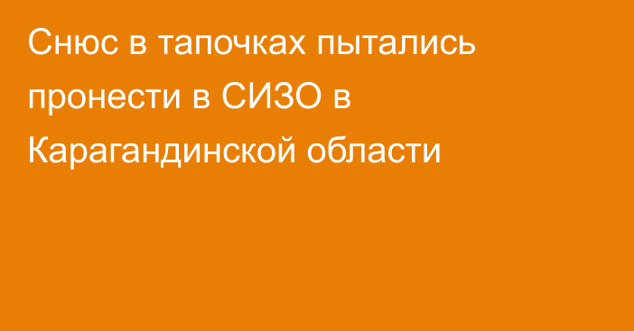 Снюс в тапочках пытались пронести в СИЗО в Карагандинской области