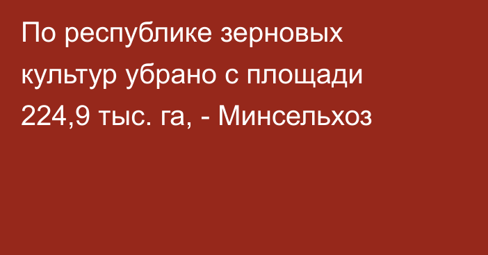 По республике зерновых культур убрано с площади 224,9 тыс. га, - Минсельхоз