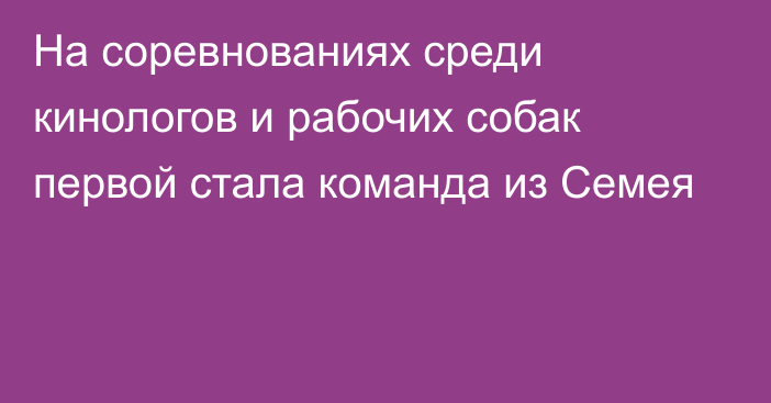 На соревнованиях среди кинологов и рабочих собак первой стала команда из Семея