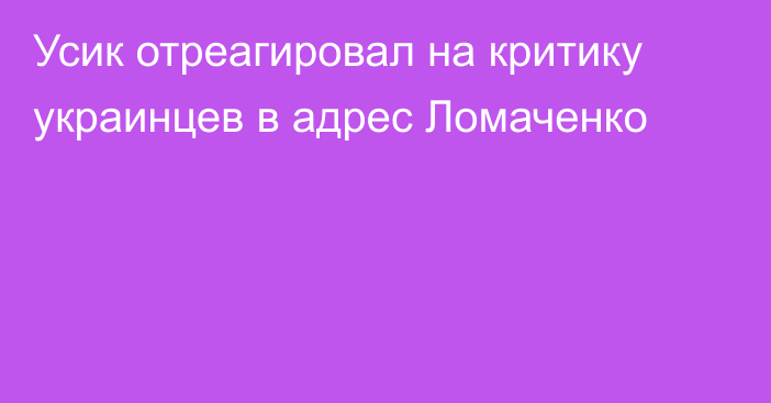 Усик отреагировал на критику украинцев в адрес Ломаченко