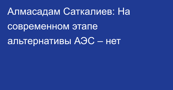 Алмасадам Саткалиев: На современном этапе альтернативы АЭС – нет