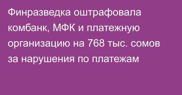 Финразведка оштрафовала комбанк, МФК и платежную организацию на 768 тыс. сомов за нарушения по платежам