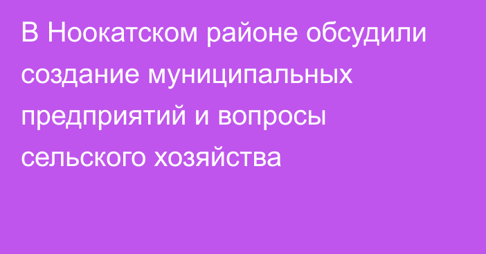 В Ноокатском районе обсудили создание муниципальных предприятий и вопросы сельского хозяйства