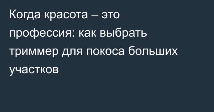 Когда красота – это профессия: как выбрать триммер для покоса больших участков