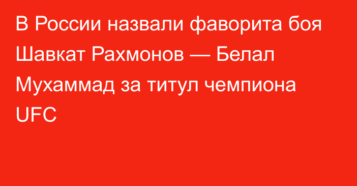 В России назвали фаворита боя Шавкат Рахмонов — Белал Мухаммад за титул чемпиона UFC