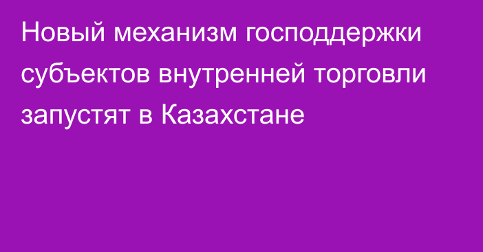 Новый механизм господдержки субъектов внутренней торговли запустят в Казахстане