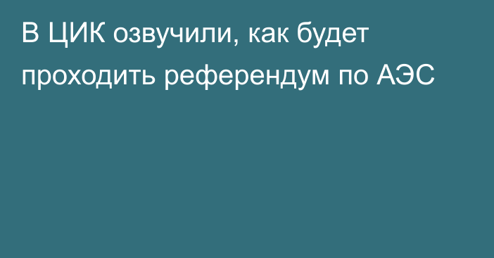 В ЦИК озвучили, как будет проходить референдум по АЭС