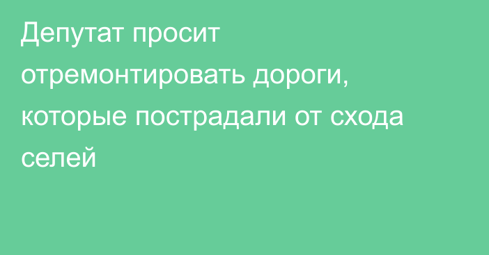 Депутат просит отремонтировать дороги, которые пострадали от схода селей