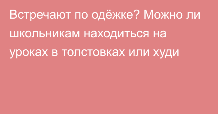 Встречают по одёжке? Можно ли школьникам находиться на уроках в толстовках или худи