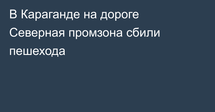 В Караганде на дороге Северная промзона сбили пешехода