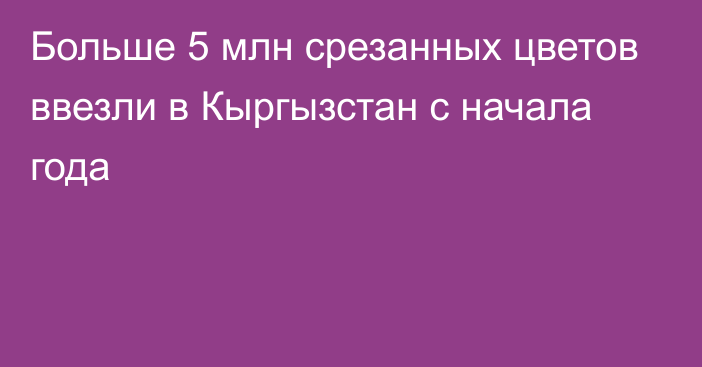 Больше 5 млн срезанных цветов ввезли в Кыргызстан с начала года