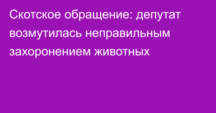 Скотское обращение: депутат возмутилась неправильным захоронением животных