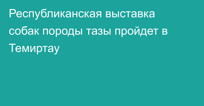 Республиканская выставка собак породы тазы пройдет в Темиртау