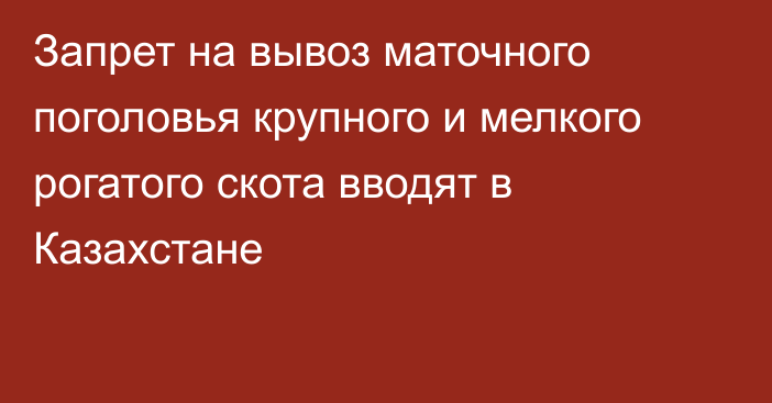 Запрет на вывоз маточного поголовья крупного и мелкого рогатого скота вводят в Казахстане