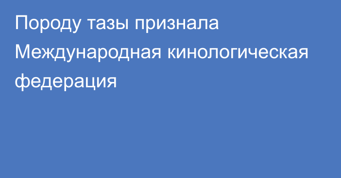 Породу тазы признала Международная кинологическая федерация