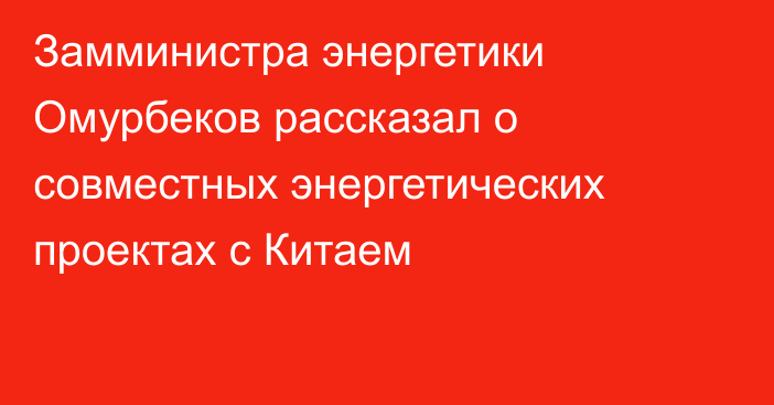 Замминистра энергетики Омурбеков рассказал о совместных энергетических проектах с Китаем