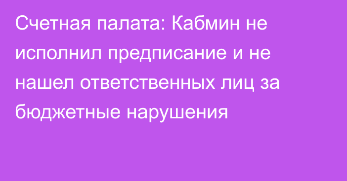 Счетная палата: Кабмин не исполнил предписание и не нашел ответственных лиц за  бюджетные нарушения